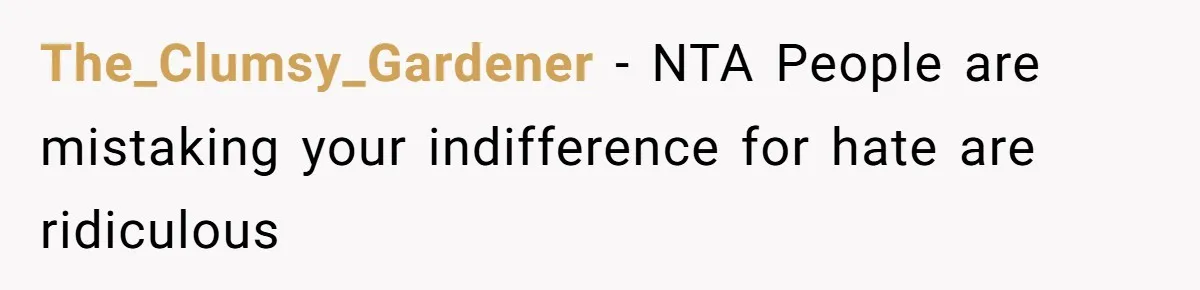 The_Clumsy_Gardener -  NTA People are mistaking your indifference for hate are ridiculous