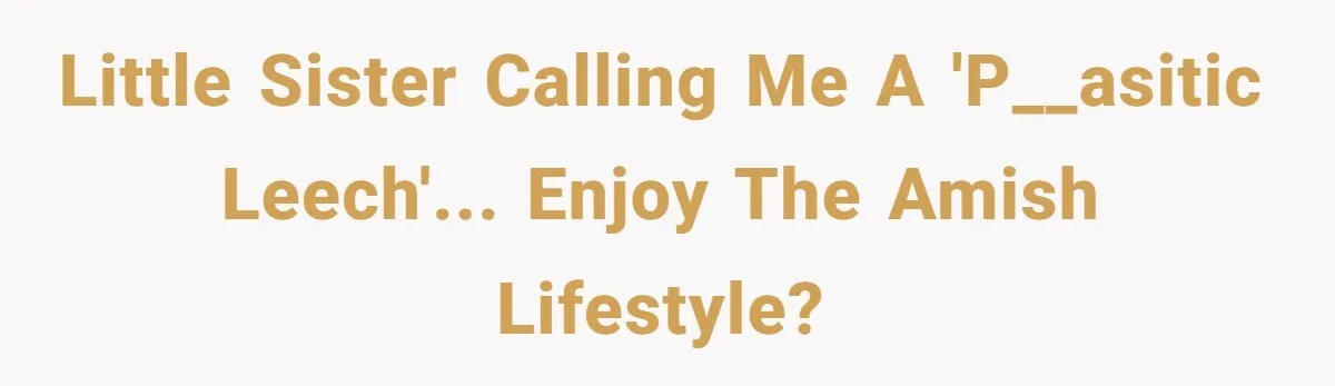 Brother Teaches Teen Sister a Lesson About Gratitude by Cutting Off Her Data Little sister calling me a 'p__asitic leech'... Enjoy the Amish lifestyle?