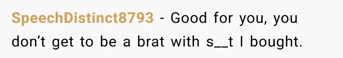 Brother Teaches Teen Sister a Lesson About Gratitude by Cutting Off Her Data SpeechDistinct8793 − Good for you, you don’t get to be a brat with s__t I bought.