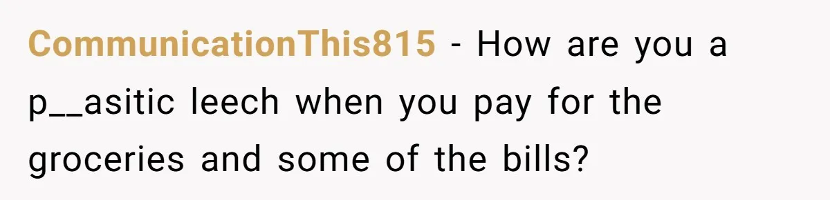 Brother Teaches Teen Sister a Lesson About Gratitude by Cutting Off Her Data CommunicationThis815 − How are you a p__asitic leech when you pay for the groceries and some of the bills?