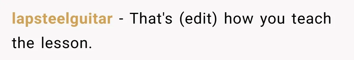 Brother Teaches Teen Sister a Lesson About Gratitude by Cutting Off Her Data lapsteelguitar − That's (edit) how you teach the lesson.