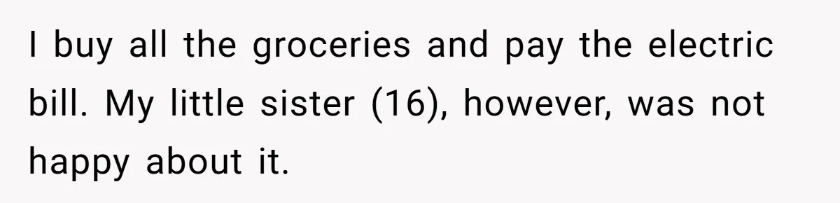 Brother Teaches Teen Sister a Lesson About Gratitude by Cutting Off Her Data I buy all the groceries and pay the electric bill. My little sister (16), however, was not happy about it.