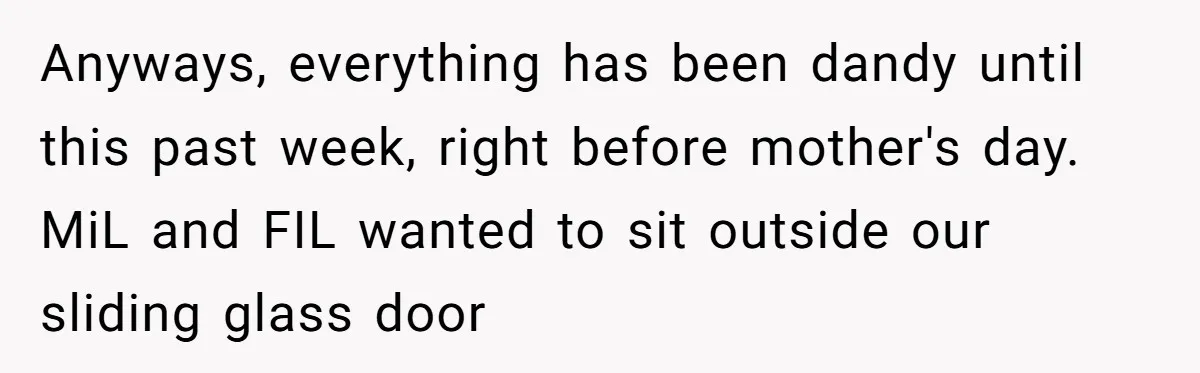 Anyways, everything has been dandy until this past week, right before mother's day. MiL and FIL wanted to sit outside our sliding glass door