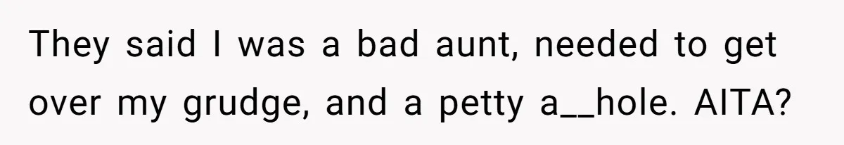 They said I was a bad aunt, needed to get over my grudge, and a petty a__hole. AITA?