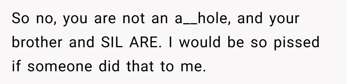 So no, you are not an a__hole, and your brother and SIL ARE. I would be so pissed if someone did that to me.