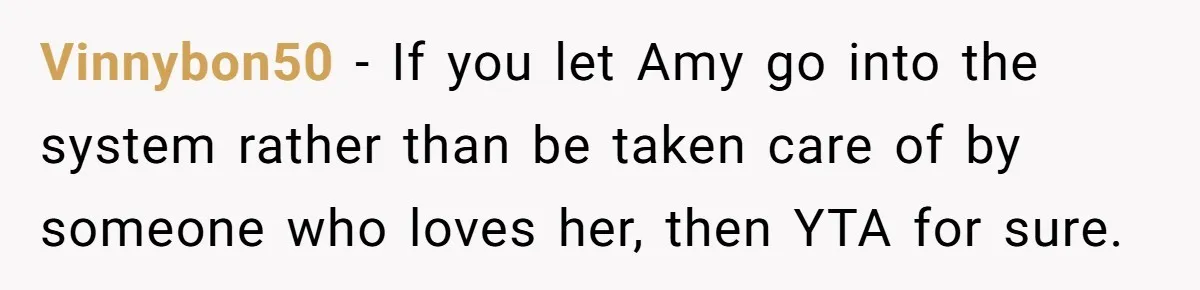 Vinnybon50 − If you let Amy go into the system rather than be taken care of by someone who loves her, then YTA for sure.