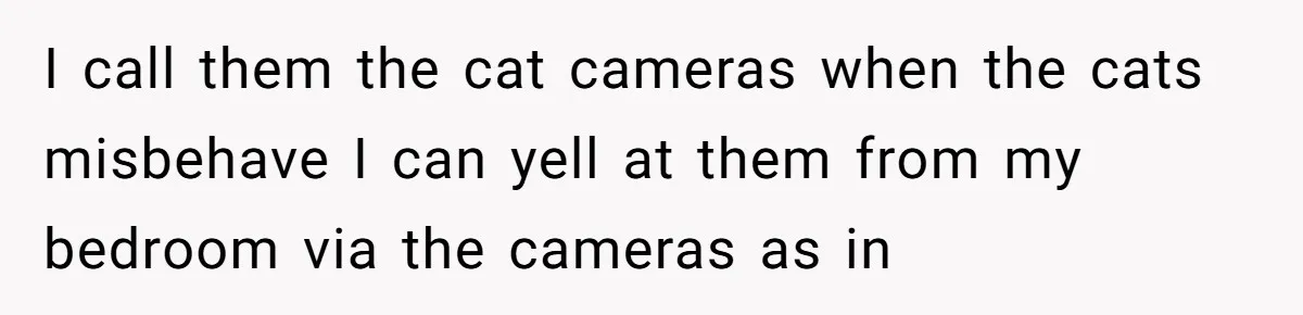 I call them the cat cameras when the cats misbehave I can yell at them from my bedroom via the cameras as in