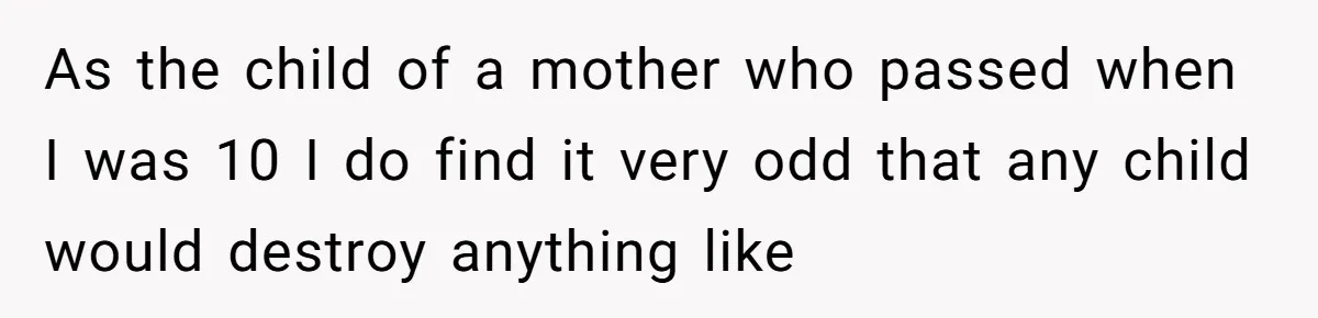 As the child of a mother who passed when I was 10 I do find it very odd that any child would destroy anything like