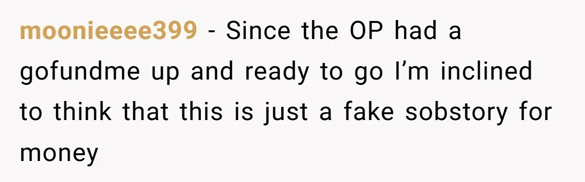 moonieeee399 − Since the OP had a gofundme up and ready to go I’m inclined to think that this is just a fake sobstory for money