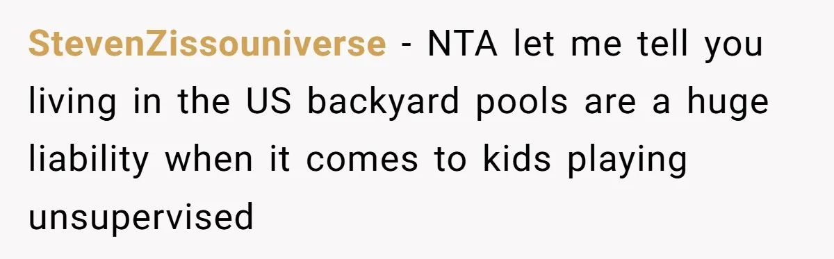 StevenZissouniverse − NTA let me tell you living in the US backyard pools are a huge liability when it comes to kids playing unsupervised