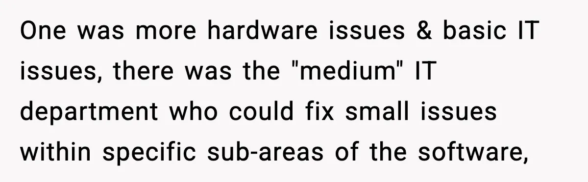 One was more hardware issues & basic IT issues, there was the "medium" IT department who could fix small issues within specific sub-areas of the software,