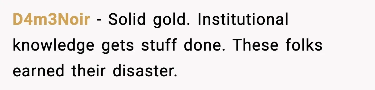 D4m3Noir - Solid gold. Institutional knowledge gets stuff done. These folks earned their disaster.
