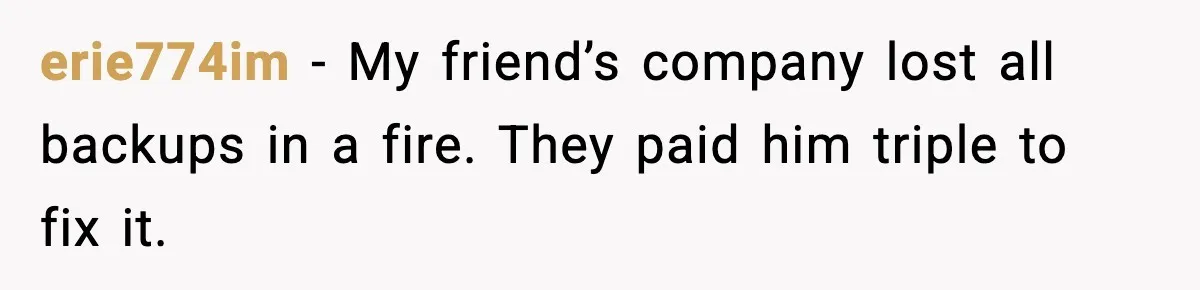 erie774im - My friend’s company lost all backups in a fire. They paid him triple to fix it.