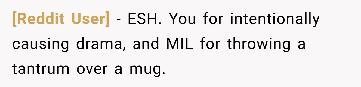 [Reddit User] − ESH. You for intentionally causing drama, and MIL for throwing a tantrum over a mug.