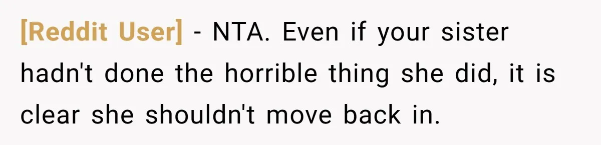 [Reddit User] − NTA. Even if your sister hadn't done the horrible thing she did, it is clear she shouldn't move back in.