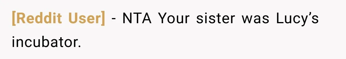 [Reddit User] − NTA Your sister was Lucy’s incubator.
