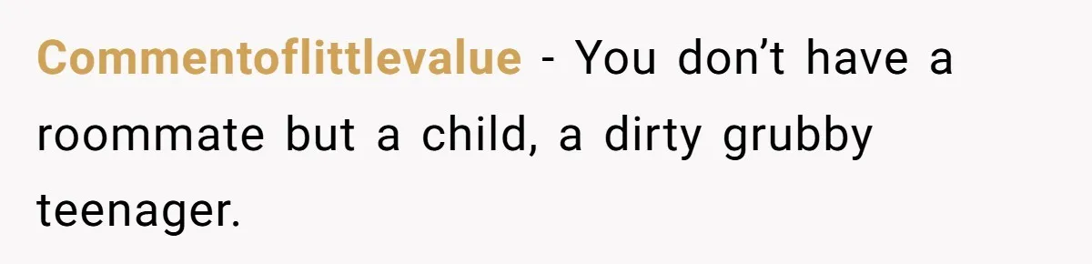Commentoflittlevalue − You don’t have a roommate but a child, a dirty grubby teenager.
