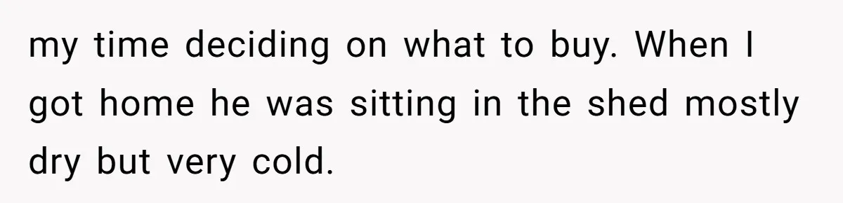 my time deciding on what to buy. When I got home he was sitting in the shed mostly dry but very cold.