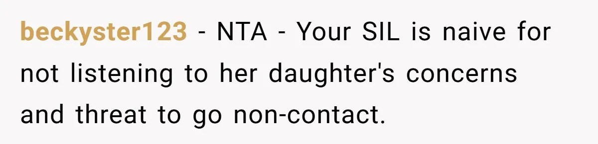 beckyster123 − NTA - Your SIL is naive for not listening to her daughter's concerns and threat to go non-contact.