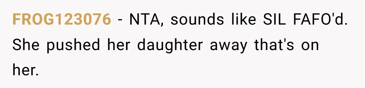 FROG123076 − NTA, sounds like SIL FAFO'd. She pushed her daughter away that's on her.