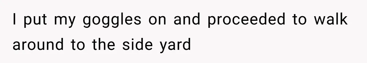 I put my goggles on and proceeded to walk around to the side yard
