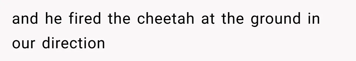 and he fired the cheetah at the ground in our direction
