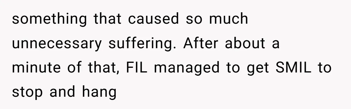 something that caused so much unnecessary suffering. After about a minute of that, FIL managed to get SMIL to stop and hang