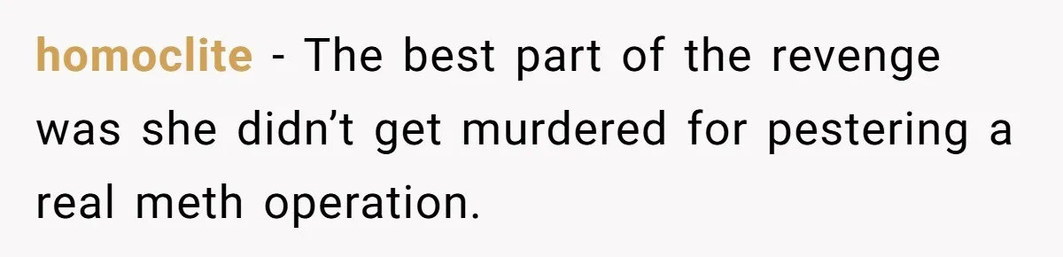 homoclite − The best part of the revenge was she didn’t get murdered for pestering a real meth operation.