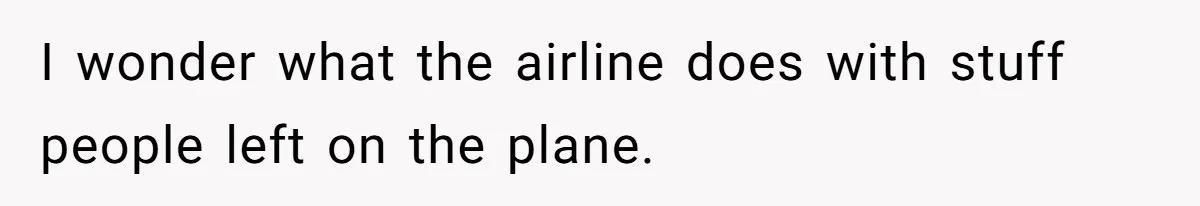 I wonder what the airline does with stuff people left on the plane.