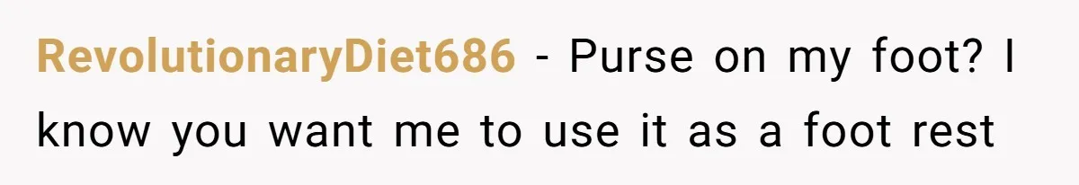 RevolutionaryDiet686 − Purse on my foot? I know you want me to use it as a foot rest
