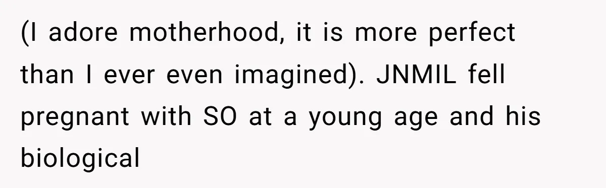 (I adore motherhood, it is more perfect than I ever even imagined). JNMIL fell pregnant with SO at a young age and his biological