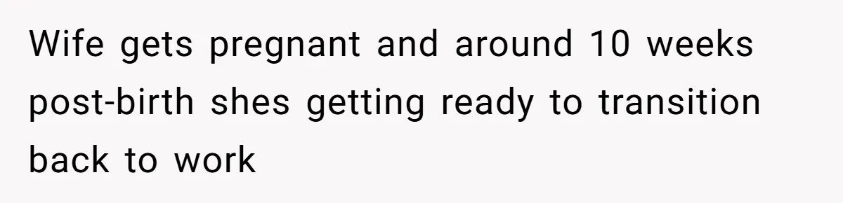 Wife gets pregnant and around 10 weeks post-birth shes getting ready to transition back to work