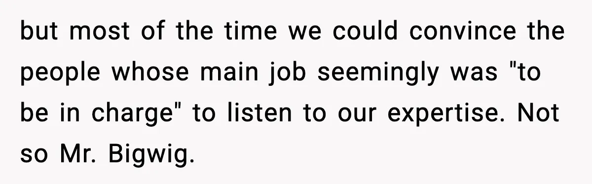 but most of the time we could convince the people whose main job seemingly was "to be in charge" to listen to our expertise. Not so Mr. Bigwig.