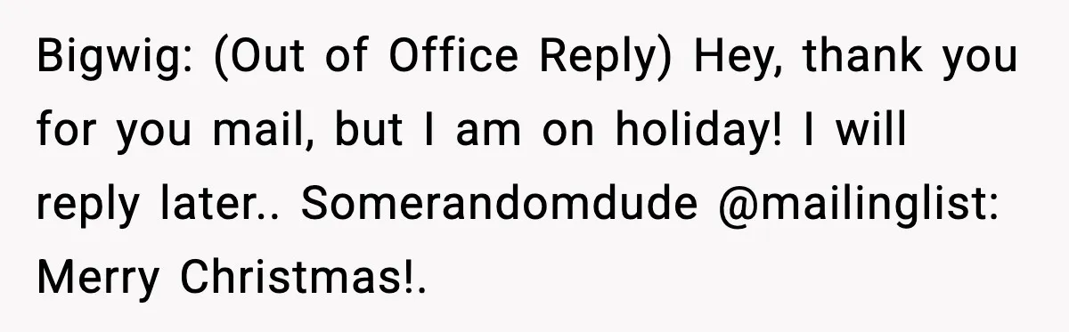 Bigwig: (Out of Office Reply) Hey, thank you for you mail, but I am on holiday! I will reply later.. Somerandomdude @mailinglist: Merry Christmas!.