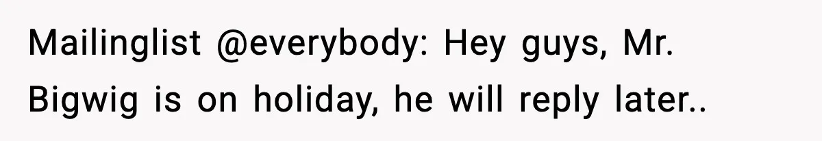 Mailinglist @everybody: Hey guys, Mr. Bigwig is on holiday, he will reply later..