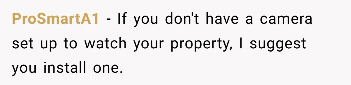 ProSmartA1 − If you don't have a camera set up to watch your property, I suggest you install one.