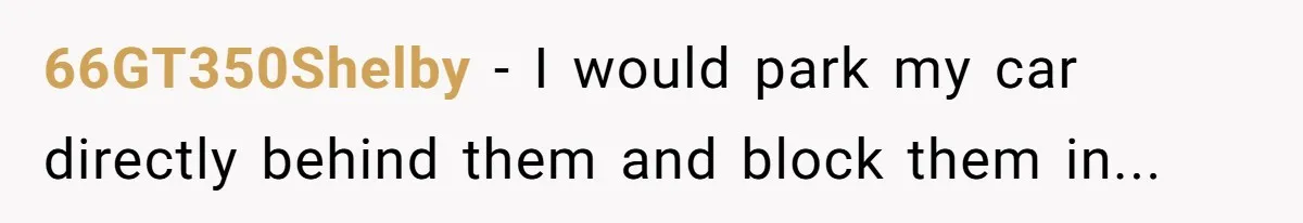 66GT350Shelby − I would park my car directly behind them and block them in...