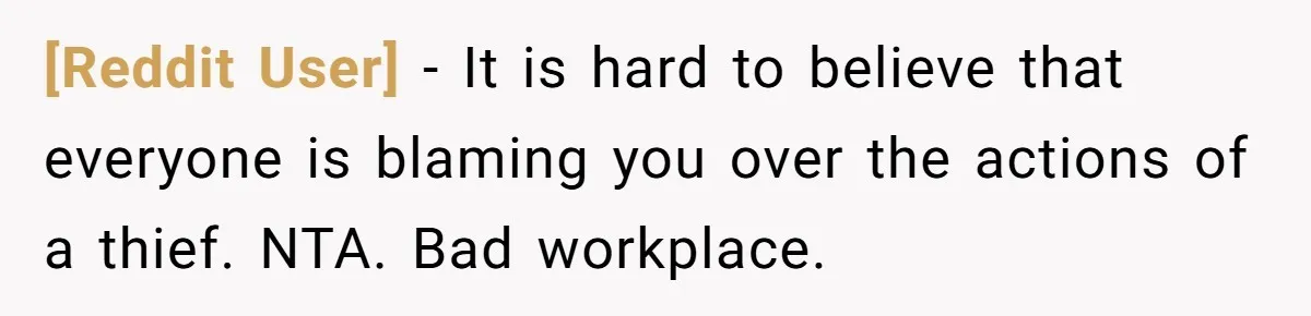 [Reddit User] − It is hard to believe that everyone is blaming you over the actions of a thief. NTA. Bad workplace.