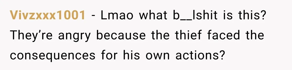 Vivzxxx1001 − Lmao what b__lshit is this? They’re angry because the thief faced the consequences for his own actions?