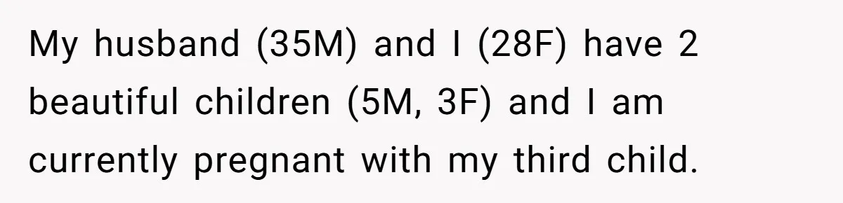 My husband (35M) and I (28F) have 2 beautiful children (5M, 3F) and I am currently pregnant with my third child.