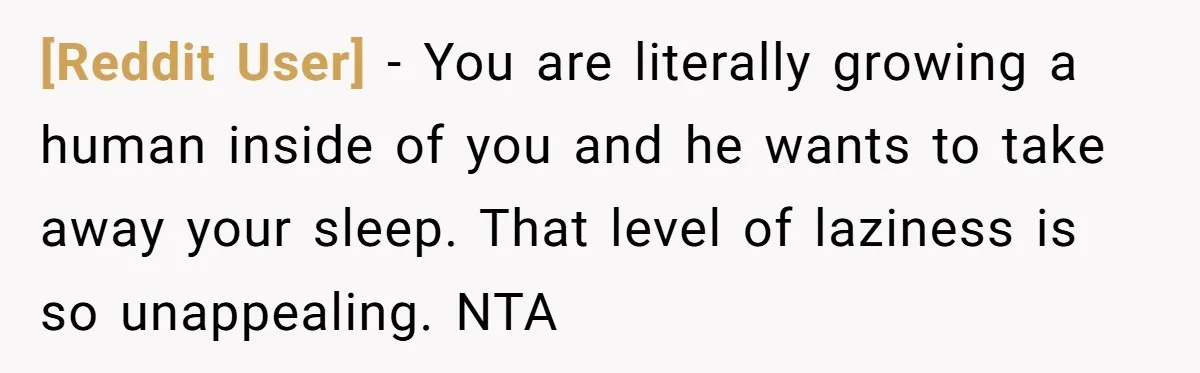 [Reddit User] − You are literally growing a human inside of you and he wants to take away your sleep. That level of laziness is so unappealing. NTA