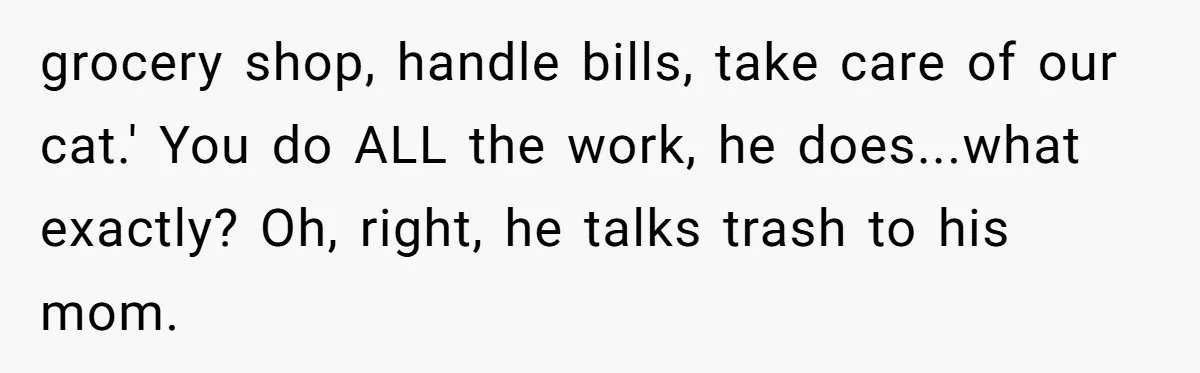 grocery shop, handle bills, take care of our cat.' You do ALL the work, he does...what exactly? Oh, right, he talks trash to his mom.