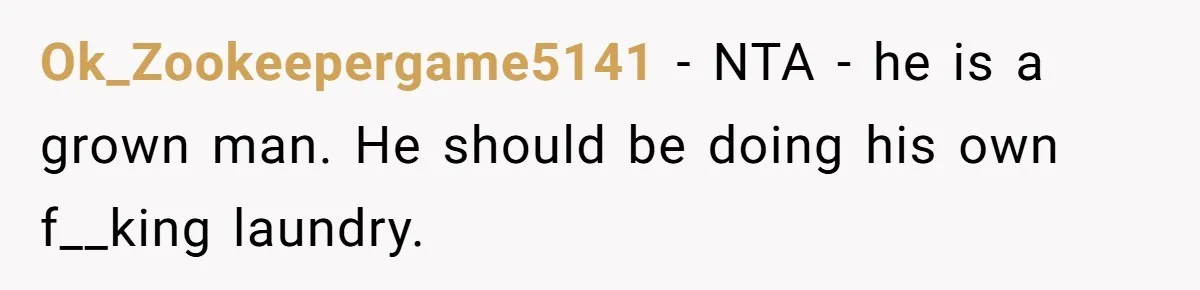 Ok_Zookeepergame5141 − NTA - he is a grown man. He should be doing his own f__king laundry.