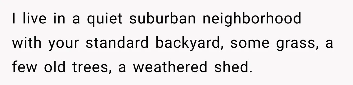 I live in a quiet suburban neighborhood with your standard backyard, some grass, a few old trees, a weathered shed.