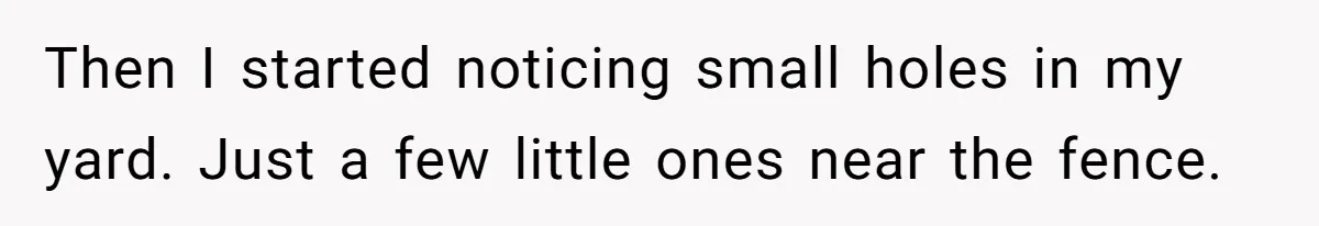 Then I started noticing small holes in my yard. Just a few little ones near the fence.