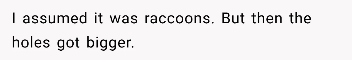 I assumed it was raccoons. But then the holes got bigger.
