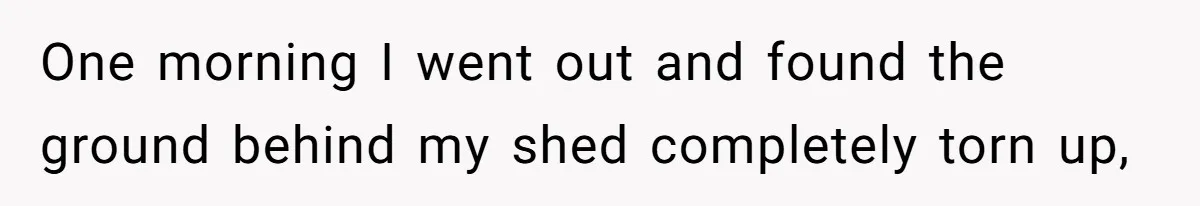 One morning I went out and found the ground behind my shed completely torn up,