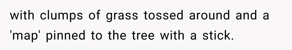with clumps of grass tossed around and a 'map' pinned to the tree with a stick.