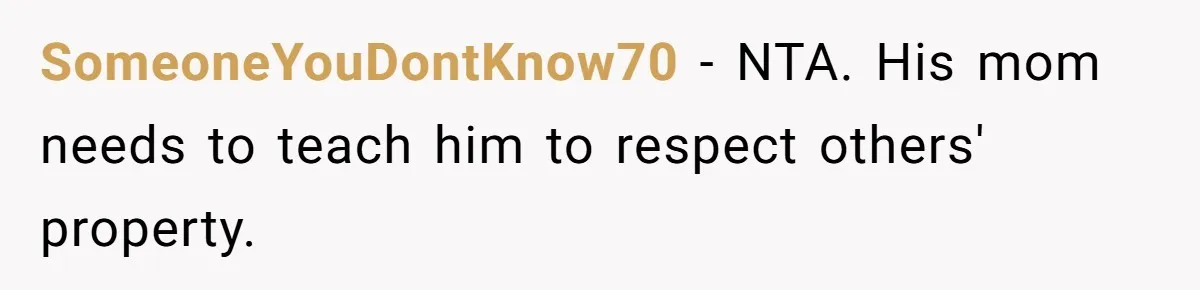 SomeoneYouDontKnow70 − NTA. His mom needs to teach him to respect others' property.