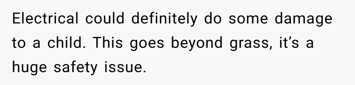 Electrical could definitely do some damage to a child. This goes beyond grass, it’s a huge safety issue.